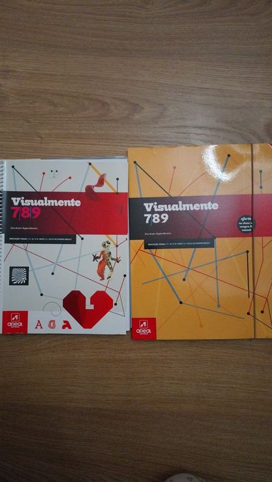 Manual+ Caderno de atividades- Educação Visual- 7,8,9 anos