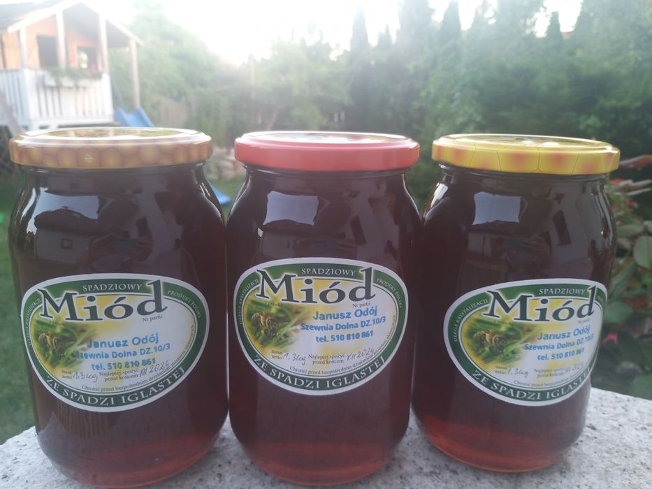 Miód spadziowy ze spadzi iglastej