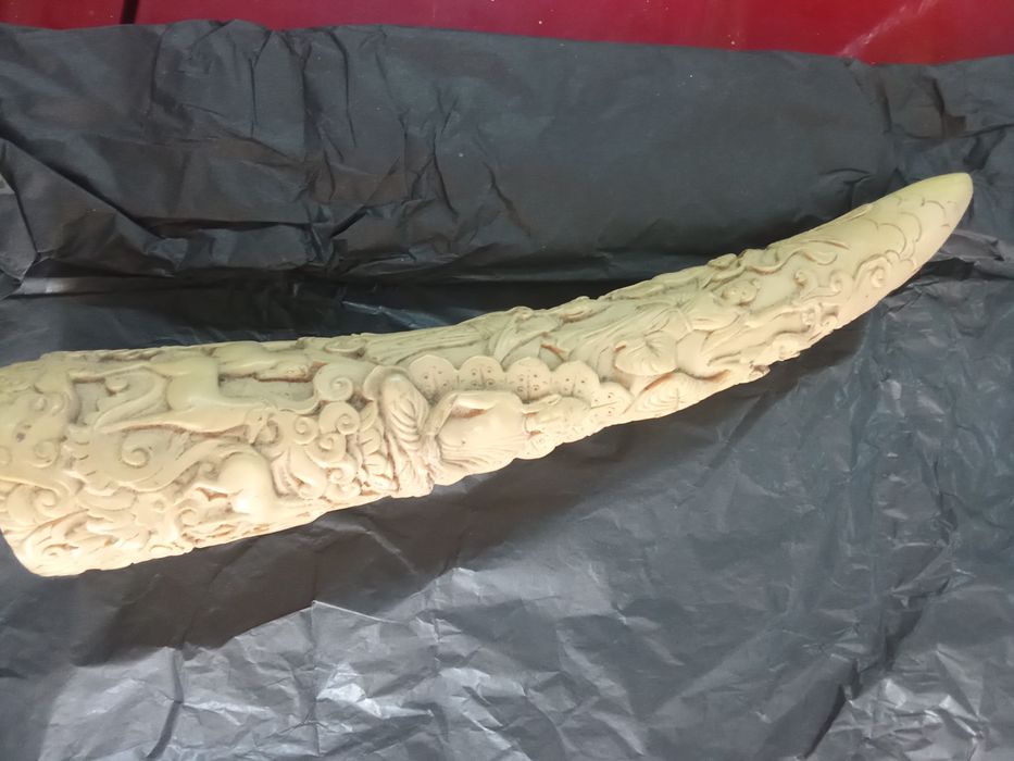 Dente elefante. A evolução da espécie humana.