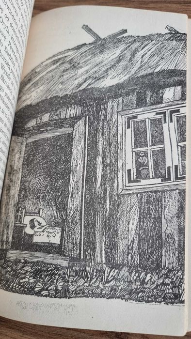 "Wybór nowel" - Adolf Dygasiński, Wydanie I