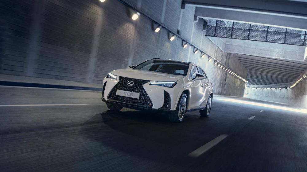 Zdjecie w galerii numer 1