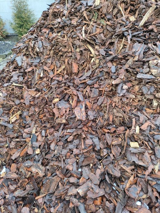 kora sosnowa  60l transport