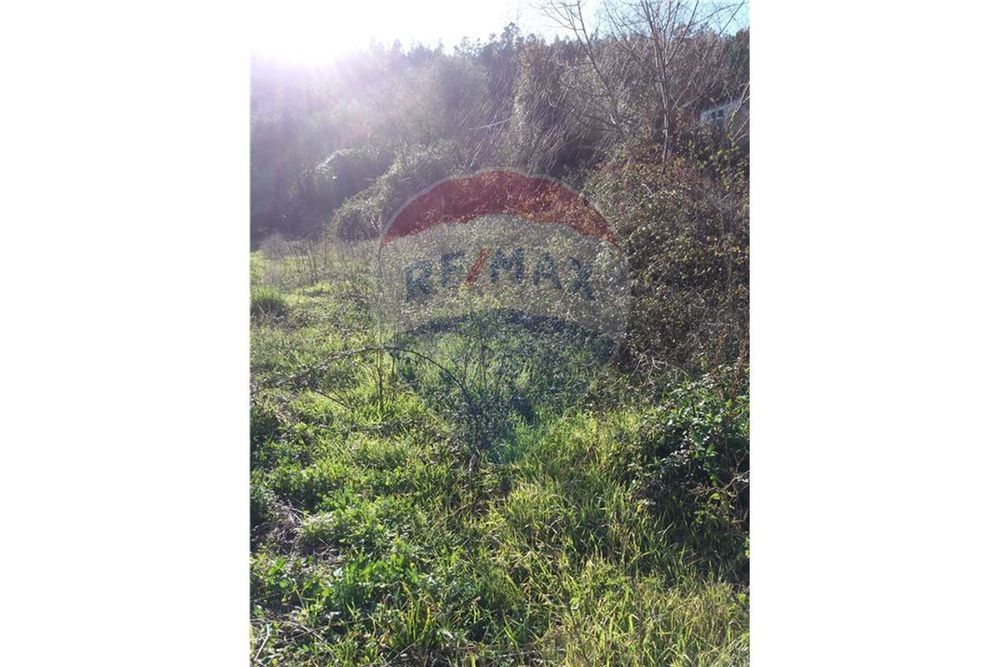 Terreno T0 para venda