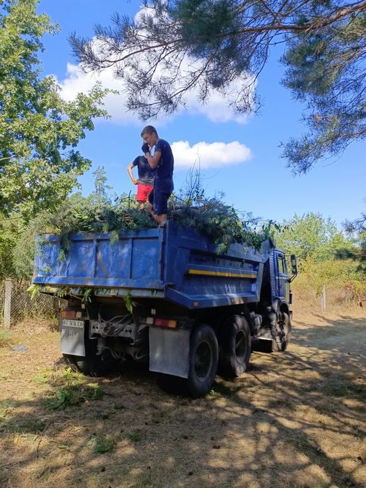 Вивіз Сміття.Перевезення.Покос Трави зрізка дерев і т.д.
