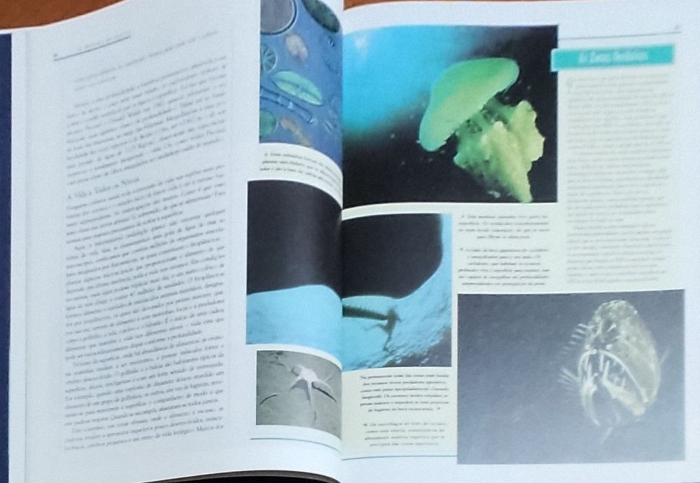 Explorando as profundezas - Seleções Readers Digest