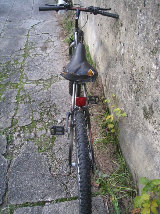 Bicicleta Bike Queen Shimano