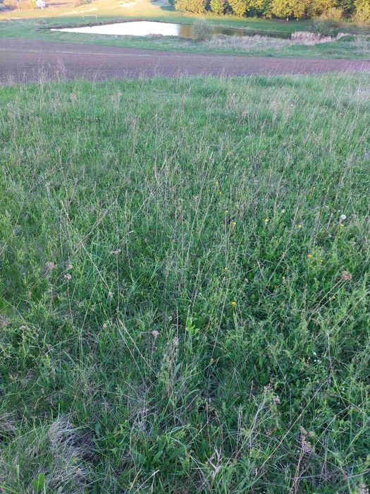 Продам земельну ділянку в селі Банюнин, Львівська обл.