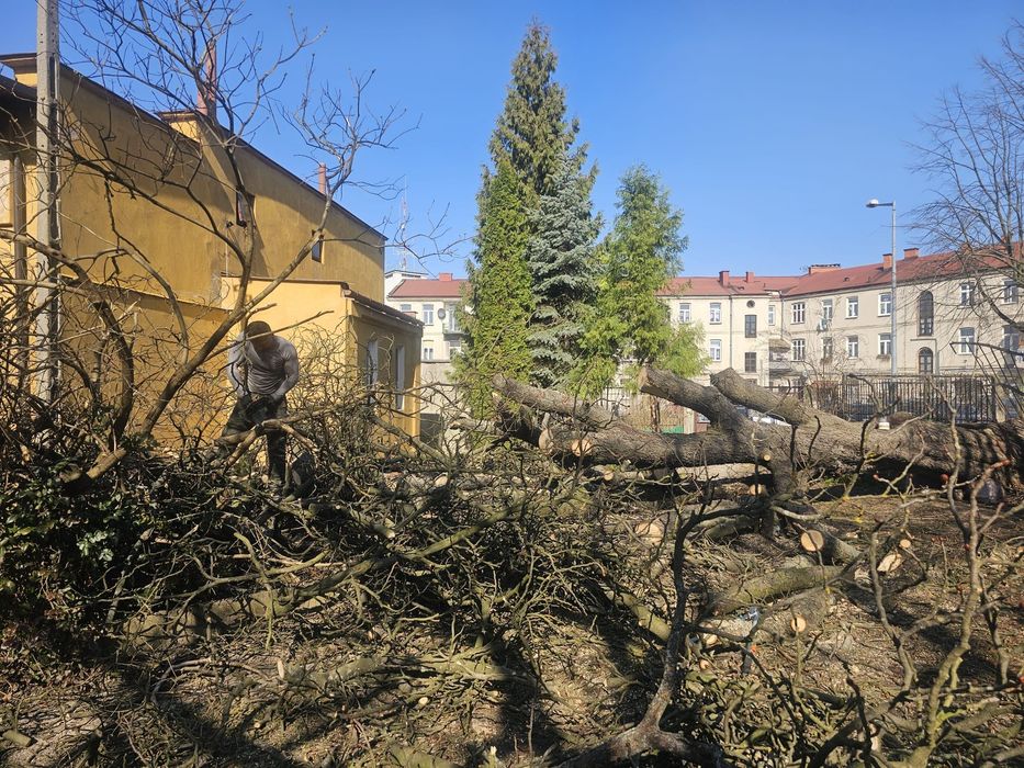 Sprzątanie działek i podwórek, wywóz gruzu, gratów i mebli