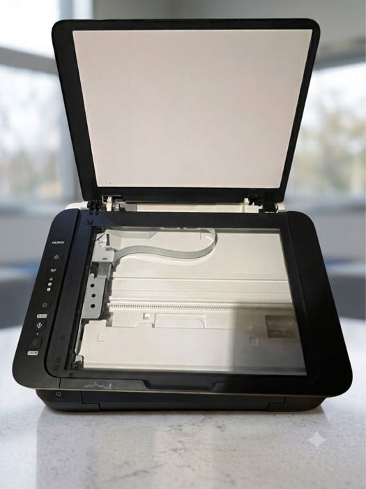 Impressora Canon MG2950S