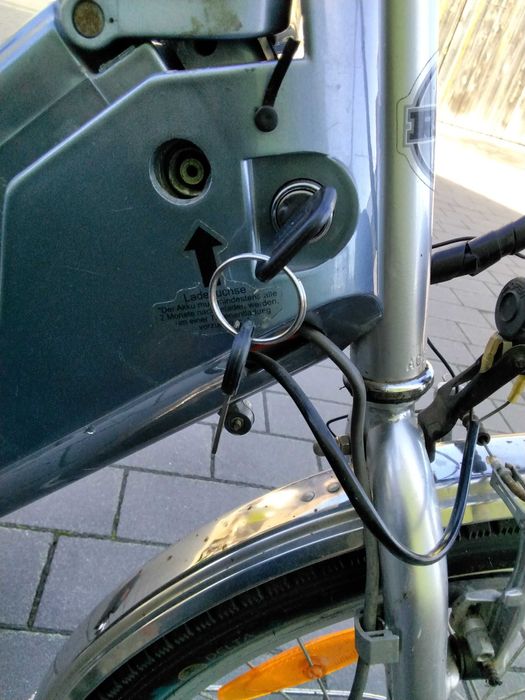 rower elektryczny REX damka