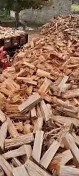 Lenha de pinho seca 35€ o metro cúbico