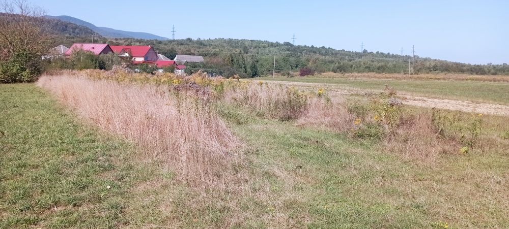 Продам земельну ділянку Голубине Закарпатської
