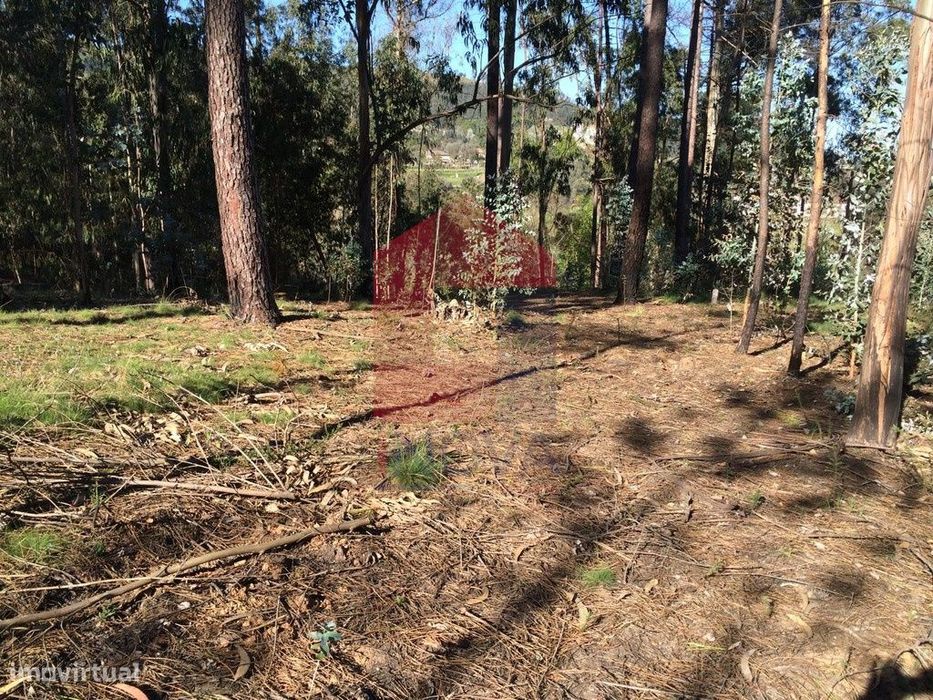 Terreno para plantação, Carreiras São Miguel