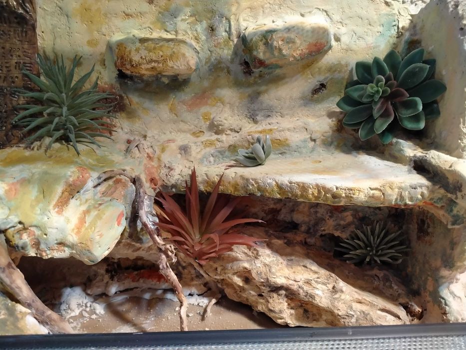 Terrarium dla gekona