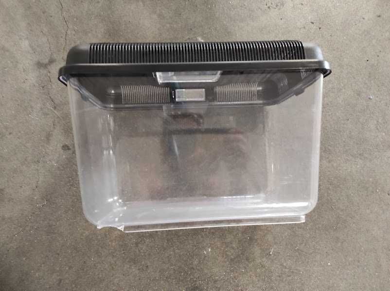 Caixa de Transporte de Tartaruga