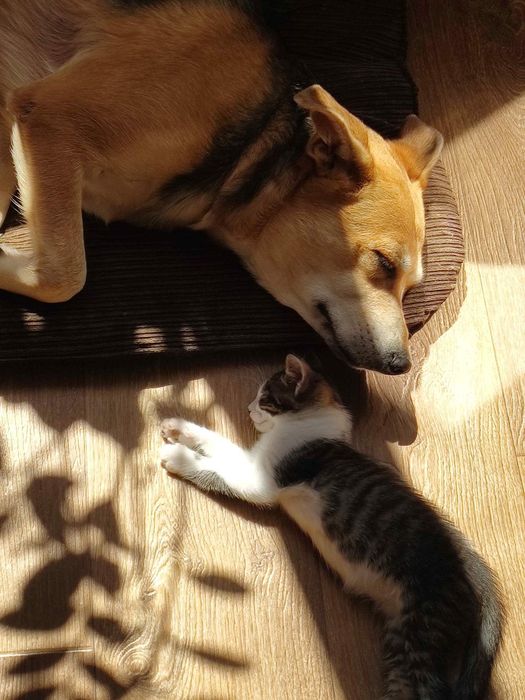 Хлопчик шукає родину