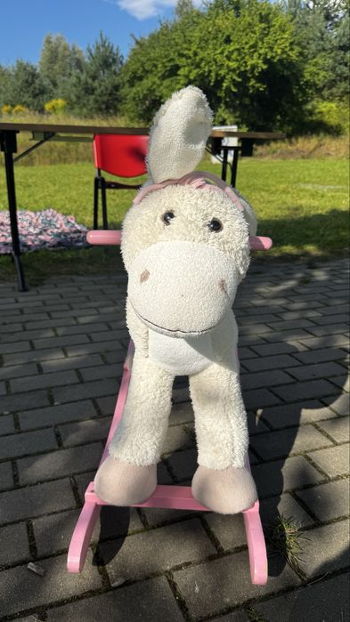 Konik na biegunach