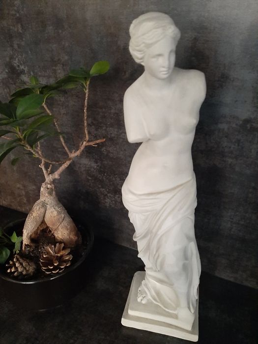 Afrodyta posąg gipsowy