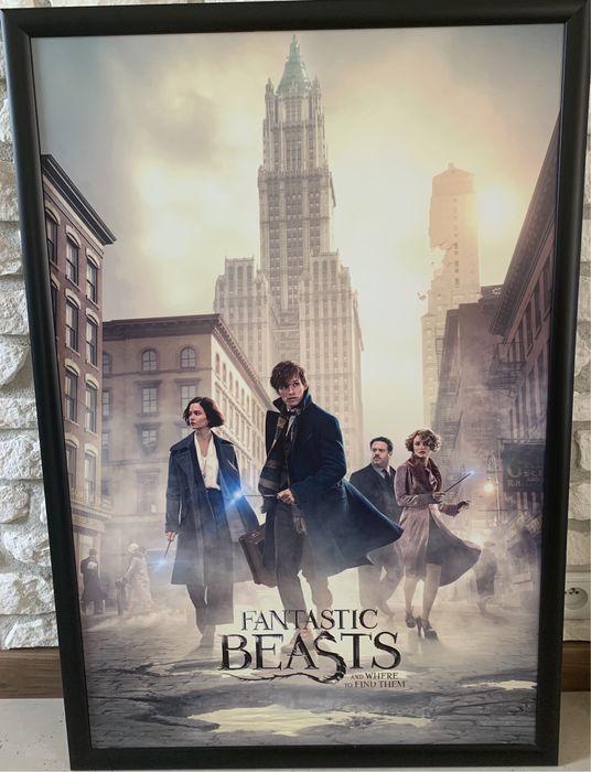 Fantastyczne zwierzęta i jak je znaleźć obraz w ramie 66x96