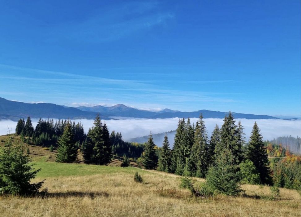 Земелька ділянка в Карпатах