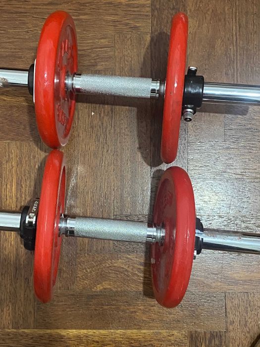 Halteres 10–12kg (com barras) – Ferro Fundido SALTER / MIRALAGO