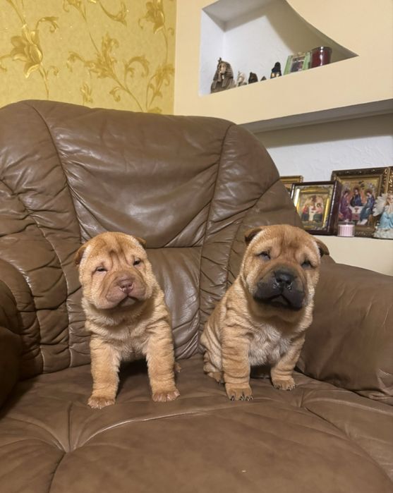 Продають подаруночки