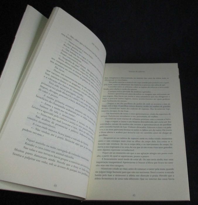 Livro Notícias do Labirinto Júlio Moreira