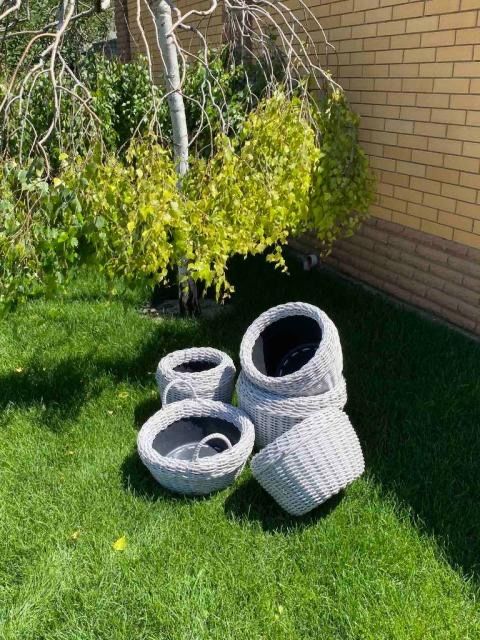 Ротанг для кашпо білий