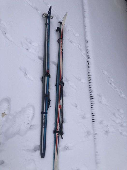 Бігові лижі, комплект Engadin Plenk ( Fischer )