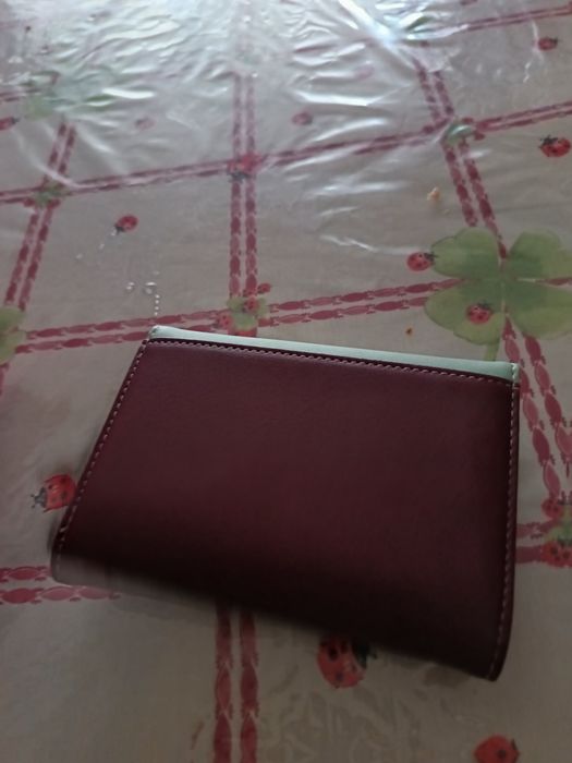 Carteira mulher cor castanho e verde ( Portes grátis)