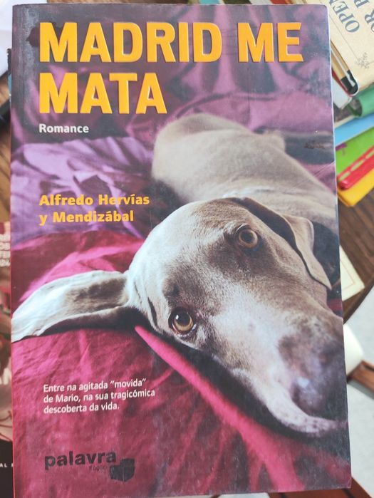 Livros diversos ficção romance policial etc