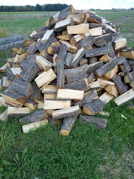 DREWNO KOMINKOWE OPAŁOWE BRZOZA OLcha Osika Jabłoń Dąb Wierzba Sosna,,