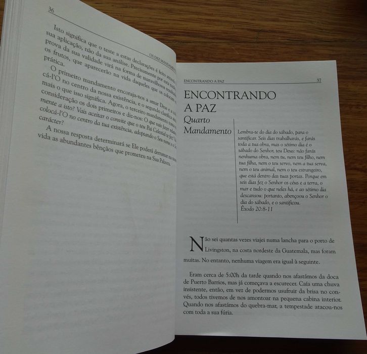 Os Dez Mandamentos (Princípios Divinos Para A Sua Vida) de Loron Wade64550962129667122