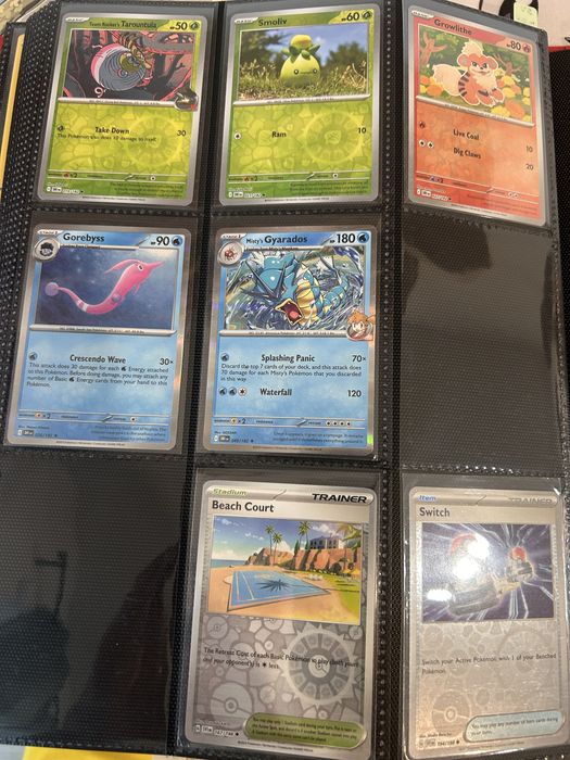 Holos / Reverse Holos Pokemon TCG