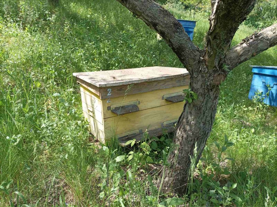 Продам вулики для пчіл, улий