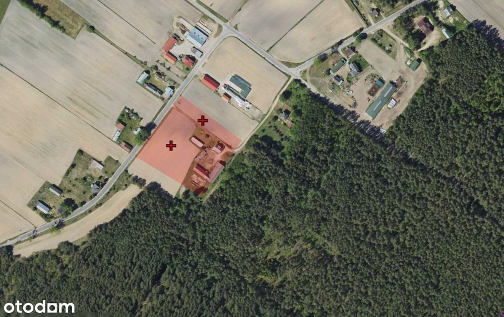 Siedlisko Na Podlasiu | 1,28 Ha| Dom + Zabudowania | Las Obok | M.huta