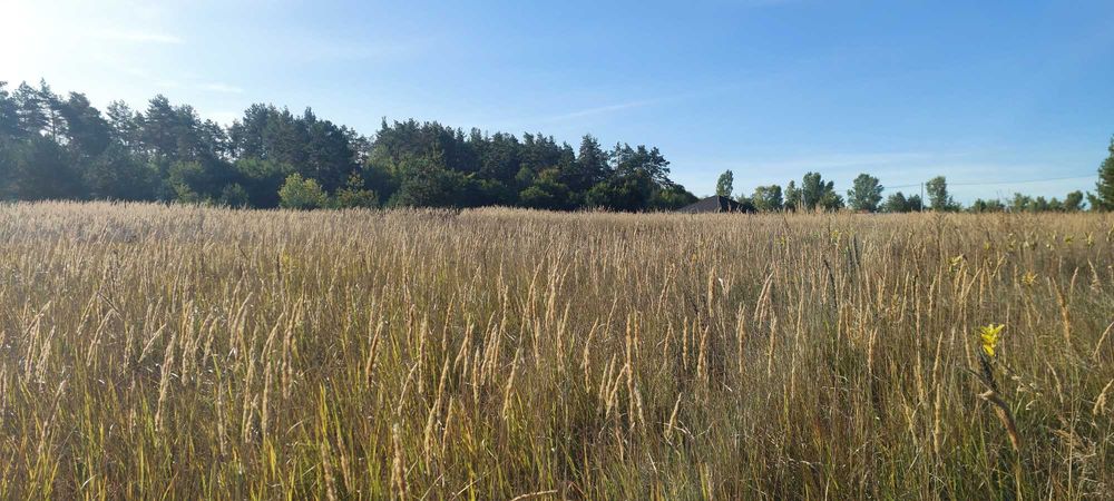 Без %. Продаж ділянки 8 соток. Старі Петрівці