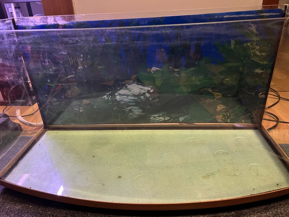 Akwarium panoramiczne z pokrywą