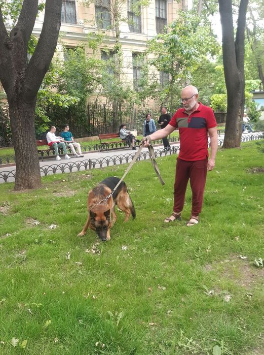 Передержка животных