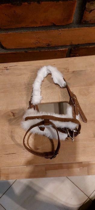 Ogłowie dla hobby horse