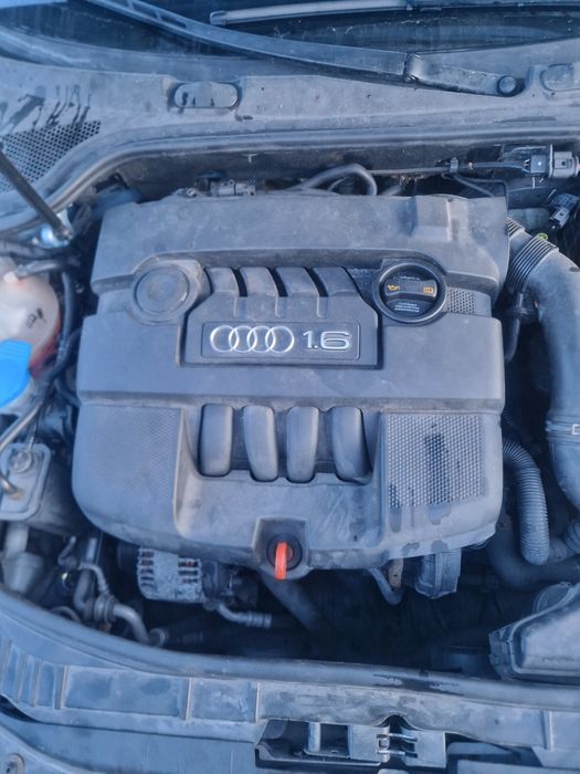 Audi a3 8P 1.6 benzyna 2008r Lift PDC Skóra bixenon