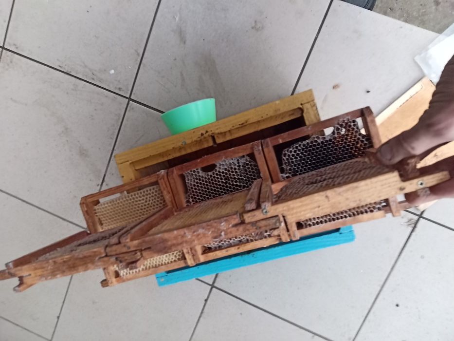 Продам Нуклеуси Двухмісні