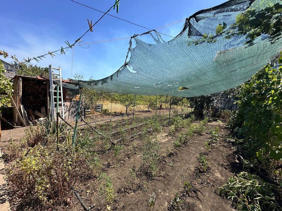 Продажа уютной дачи в Алтестово