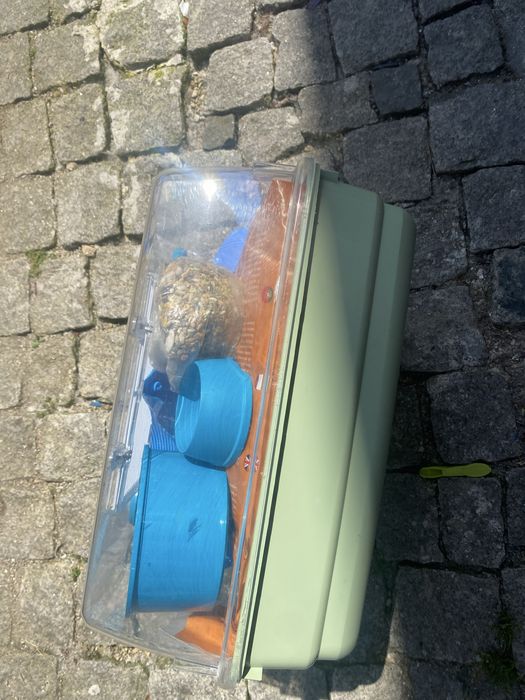 Casota para hamster