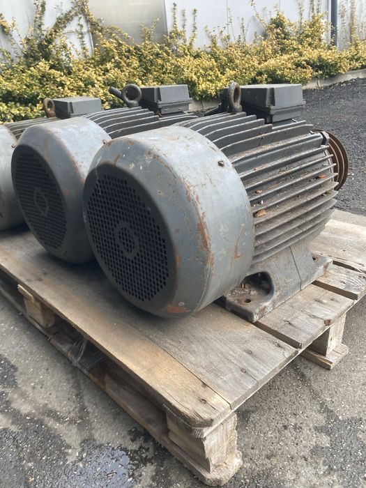 Silnik elektryczny 19,5 kw 1470obr.