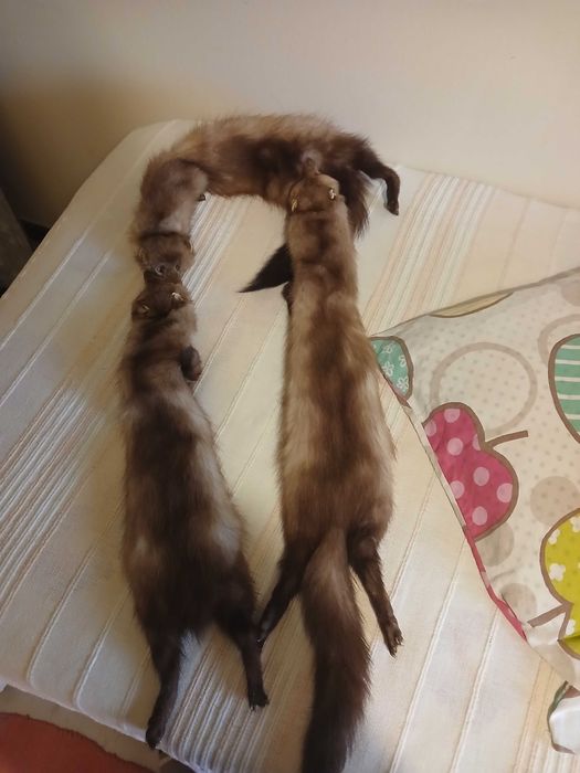 Estola de pele verdadeira em otimo estado 3martas