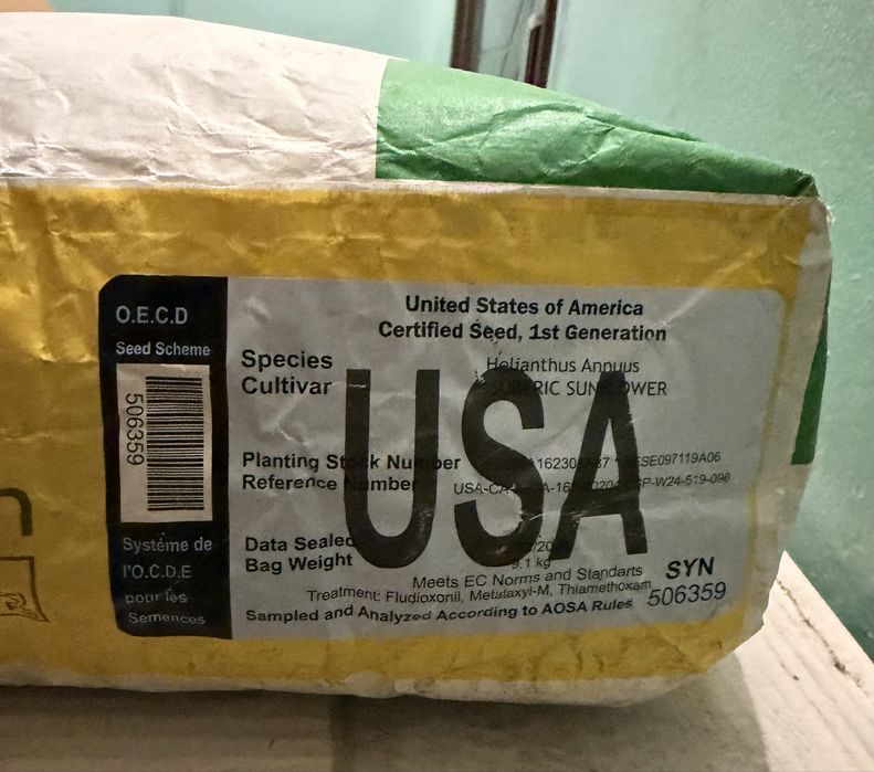 Насіння соняшника  Сайберік