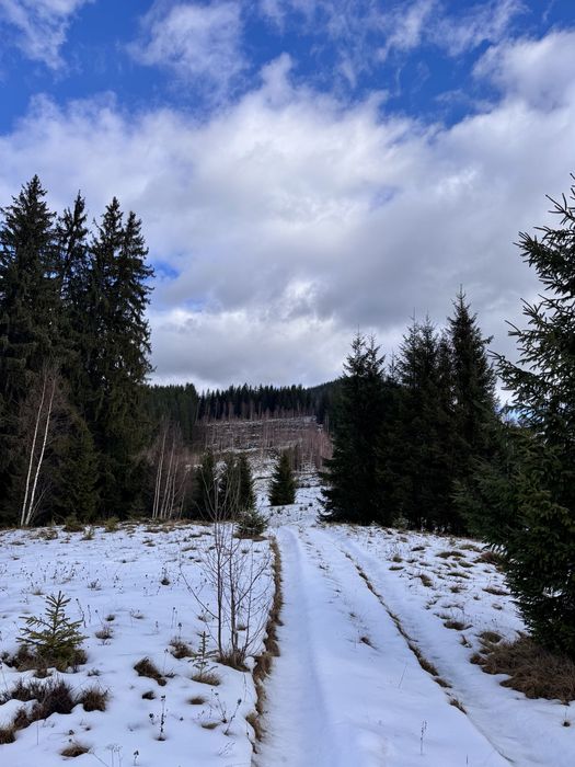 Земля 3,64 га у Карпатах, вид на Чорногірський хребет, під будівництво