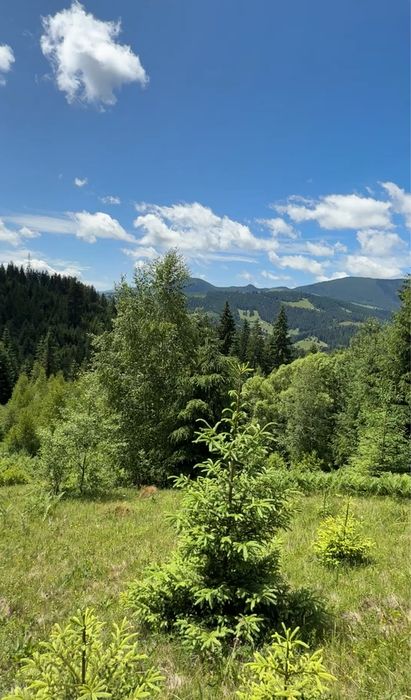 2 гектари без сусідів .