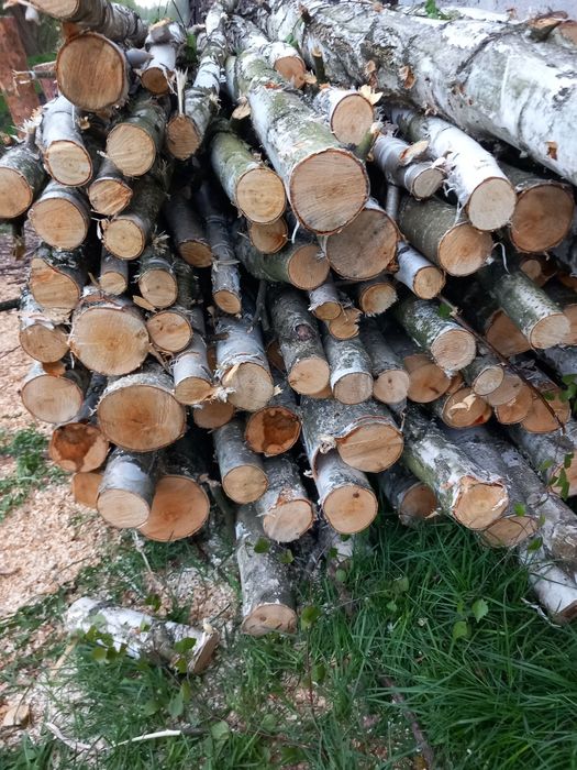Drewno opałowe brzozowe